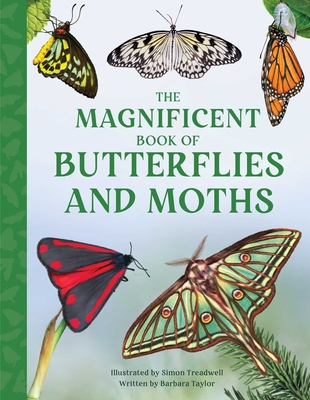 The Magnificent Book of Butterflies and Moths By Barbara Taylor, Simon Treadwell  (Illustrator) Cover Image