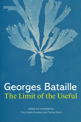 The Limit of the Useful Cover Image