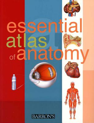 Essential Atlas of Anatomy By Parramon Studios, Cover Image