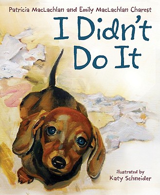 Cover Image for I Didn't Do it