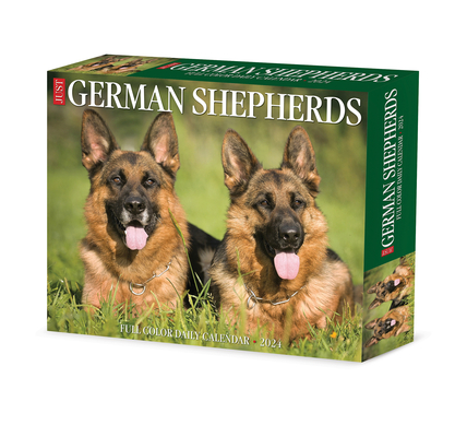German Shepherds 2024 6.2 X 5.4 Box Calendar Cover Image