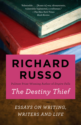 Cover for The Destiny Thief
