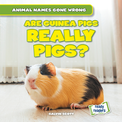 Are Guinea Pigs Really Pigs? (Animal Names Gone Wrong)