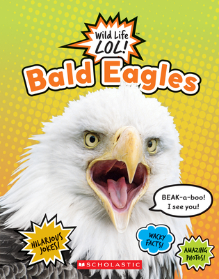 Bald Eagles  (Wild Life LOL!) By Scholastic Cover Image