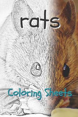 Download Rat Coloring Sheets 30 Rat Drawings Coloring Sheets Adults Relaxation Coloring Book For Kids For Girls Volume 5 Paperback Porter Square Books