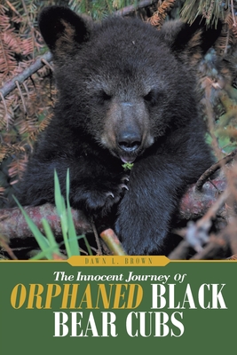 The Innocent Journey of Orphaned Black Bear Cubs Cover Image