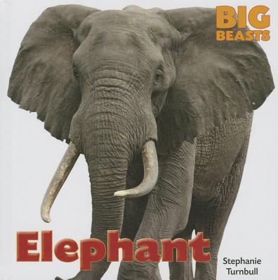 Elephant (Big Beasts (Smart Apple)) Cover Image
