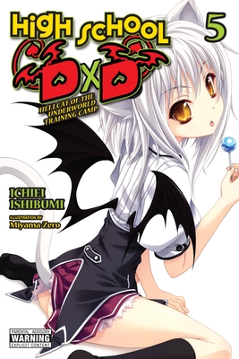 High School DxD, Vol. 10 (light novel): Lionheart of the Academy Festival  (High School DxD (light novel), 10)