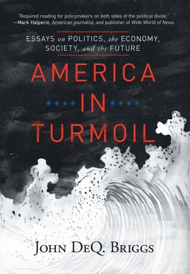 America in Turmoil: Essays on Politics, the Economy, Society, and the Future Cover Image