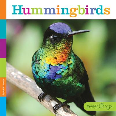 Hummingbirds (Seedlings)