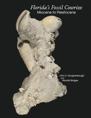 Florida’s Fossil Cowries: Miocene to Pleistocene By John D. Daughenbaugh, Randall Bridges Cover Image