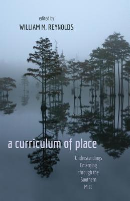 A Curriculum of Place: Understandings Emerging Through the Southern Mist (Counterpoints #412) Cover Image