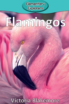 Flamingos (Elementary Explorers #3) Cover Image