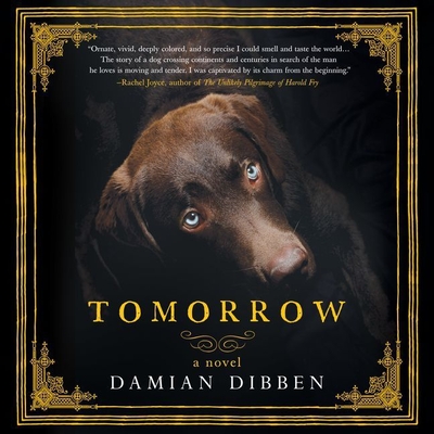 Tomorrow By Damian Dibben Cover Image