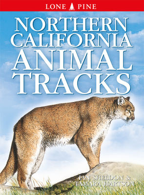 Northern California Animal Tracks By Ian Sheldon, Gary Ross (Illustrator) Cover Image