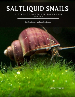Saltliquid Snails: 10 Types of Reef-Safe Saltwater Snails Cover Image