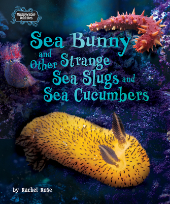 Sea Bunny and Other Strange Sea Slugs and Sea Cucumbers (Underwater Oddities)