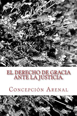 El derecho de gracia ante la justicia: Clásicos Jurídicos Cover Image