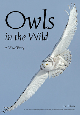 Owls in the Wild: A Visual Essay