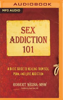 Mp3 Sex Com - Sex Addiction 101: A Basic Guide to Healing from Sex, Porn, and Love  Addiction (MP3 CD) | Island Books