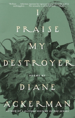 Cover for I Praise My Destroyer