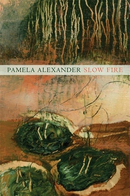 Cover for Slow Fire