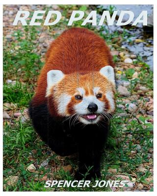 Red Panda: Learn About Red Pandas-Amazing Pictures & Fun Facts (Paperback)  | Hooked