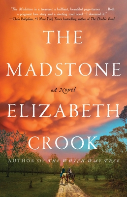 The Madstone: A Novel By Elizabeth Crook Cover Image