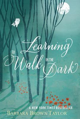 Cover for Learning to Walk in the Dark