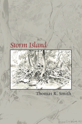 Cover for Storm Island