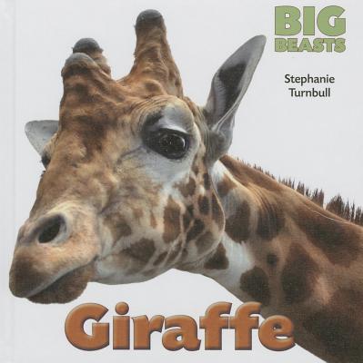 Giraffe (Big Beasts (Smart Apple)) Cover Image