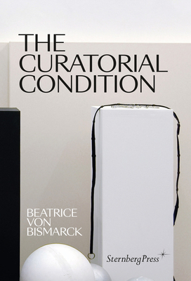 The Curatorial Condition Cover Image