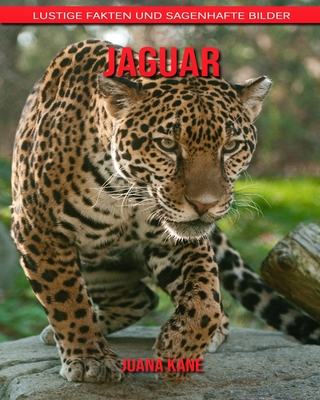 Jaguar: Lustige Fakten und sagenhafte Bilder (Paperback)