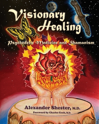 VISIONARY HEALING Psychedelic Medicine and Shamanism By Alexander Shester Cover Image