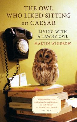 The Owl Who Liked Sitting on Caesar: Living with a Tawny Owl Cover Image