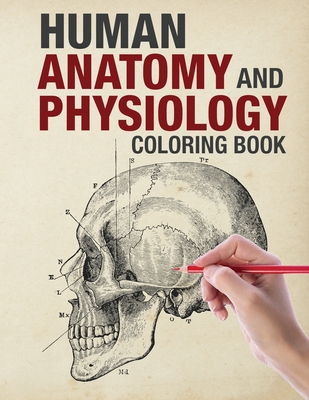 Human Anatomy and Physiology Coloring Book: Skeletal, nervous, muscular,  respiratory, cardiovascular/circulatory, urinary, integumentary,  reproductive (Paperback)