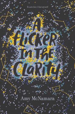A Flicker in the Clarity By Amy McNamara Cover Image