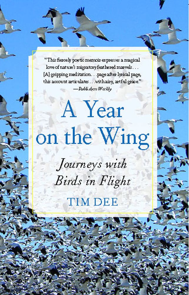 A Year on the Wing Cover