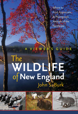 The Wildlife of New England: A Viewer's Guide (UNH Non-Series Title) By John S. Burk Cover Image