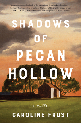 Shadows of Pecan Hollow: A Novel By Caroline Frost Cover Image