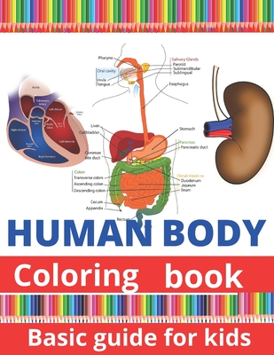 Human body coloring book: Human body coloring book for kids. For boys and girls from age 4,5,6,7,8,9,10, color the human brain, skull, ribs, ske By Petty Publishers Cover Image