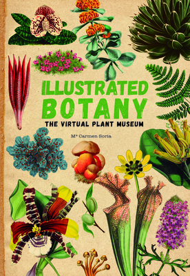 Illustrated Botany: The Virtual Plant Museum By Carmen Soria Cover Image