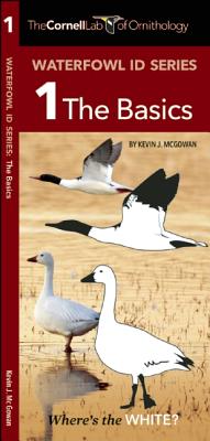 Waterfowl Id Series: 1 the Basics Cover Image