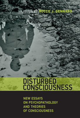 Disturbed Consciousness: New Essays on Psychopathology and Theories of Consciousness (Philosophical Psychopathology)