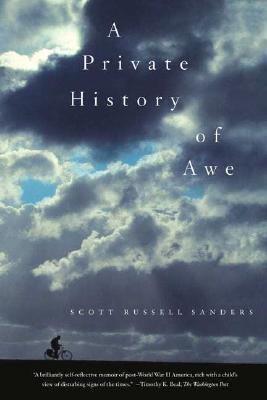 Cover for A Private History of Awe