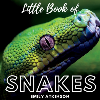Little Book of Snakes By Emily Atkinson Cover Image