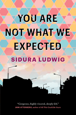 Cover for You Are Not What We Expected