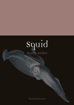 Squid (Animal) Cover Image