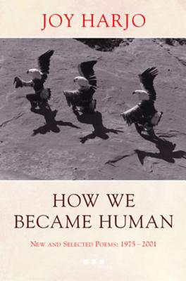 Cover for How We Became Human