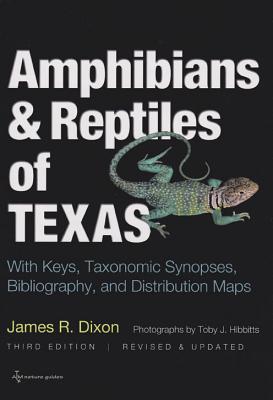 Amphibians and Reptiles of Texas: With Keys, Taxonomic Synopses, Bibliography, and Distribution Maps (W. L. Moody Jr. Natural History Series #45) By James R. Dixon, Toby J. Hibbitts (By (photographer)) Cover Image